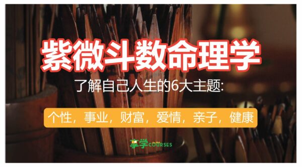 Fortune Telling Course封面图
